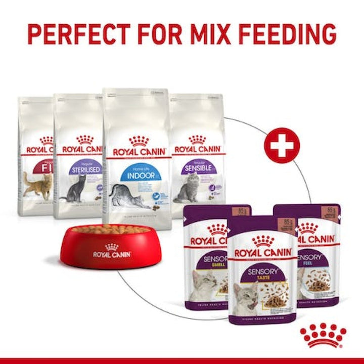 Royal Canin Sensory Smell Gravy Cat Wet Food - Mix With Dry Food