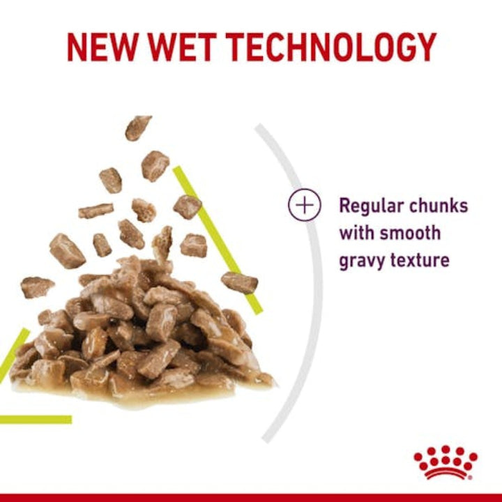 Royal Canin Sensory Smell Gravy Cat Wet Food - Kibble Size