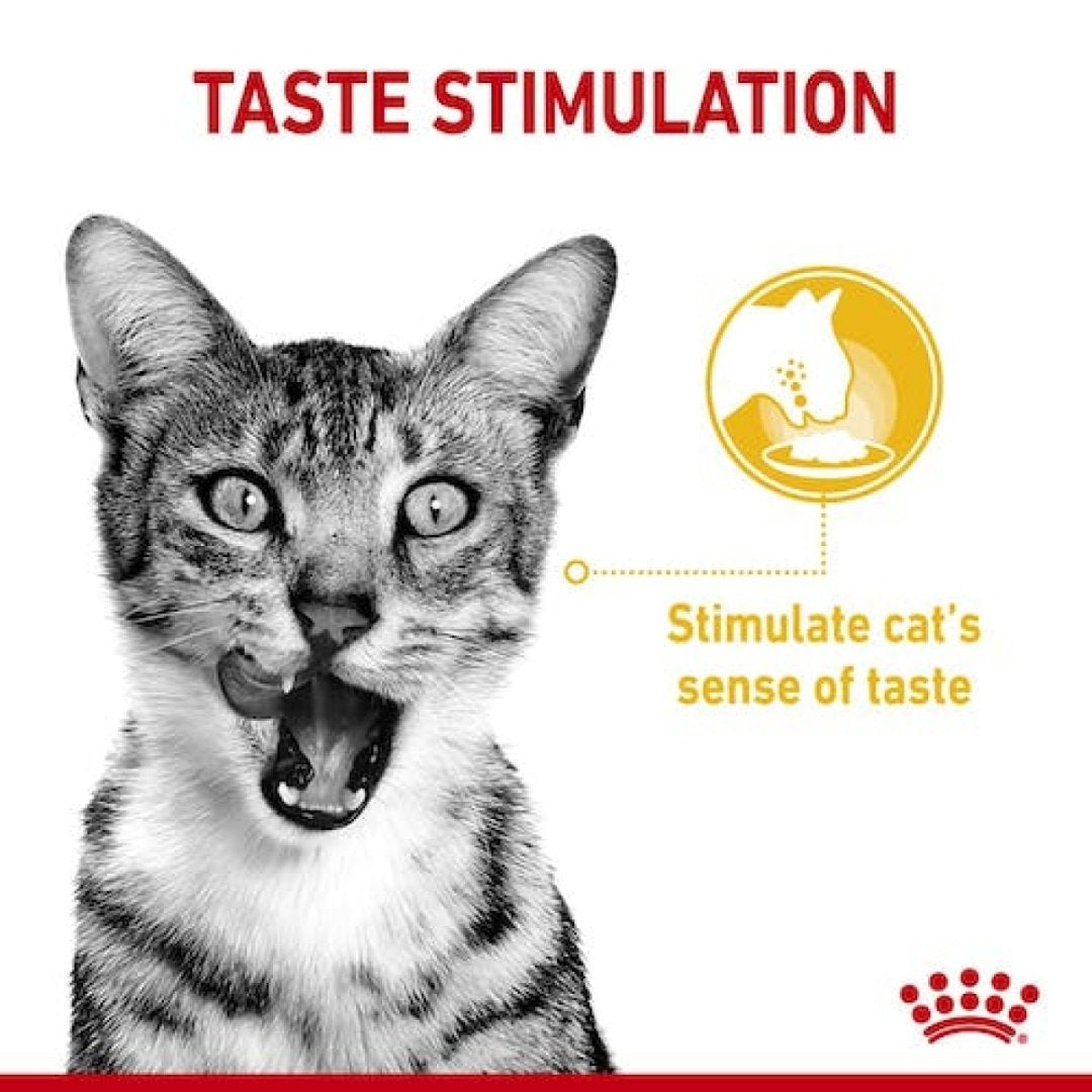 Royal Canin Sensory Taste Gravy Cat Wet Food - Food benefits 