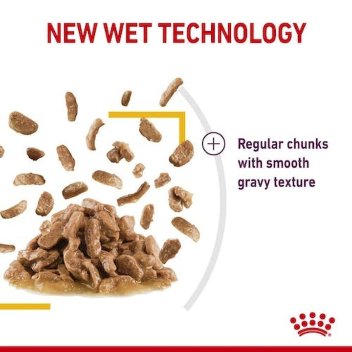Royal Canin Sensory Taste Gravy Cat Wet Food - Kibble Size