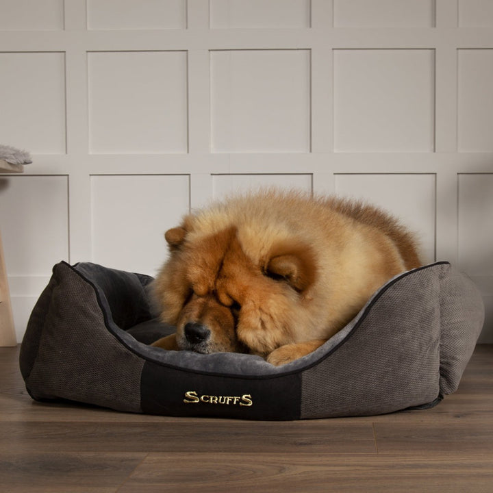 Indulge your pet in the lap of luxury with the Scruffs® Chester Box Dog Bed. Carefully crafted from rich chenille fabric, this bed collection exudes luxury and comfort. Graphite