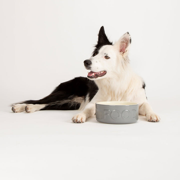 Elevate your pet's dining experience with the Scruffs Classic Dog Food Bowl—where timeless style meets practical functionality.
