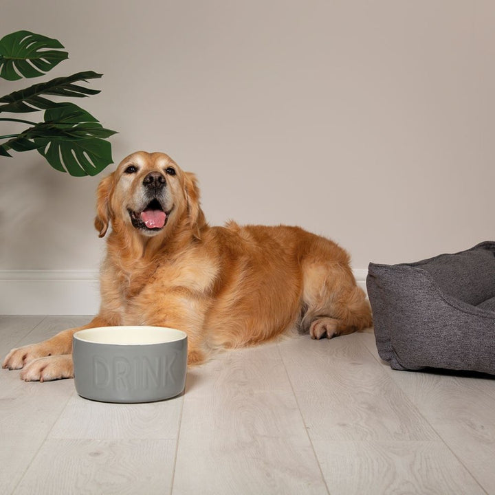 Elevate your dog's hydration experience with the Scruffs Classic Water Dog Bowl—a perfect blend of classic charm and modern convenience.