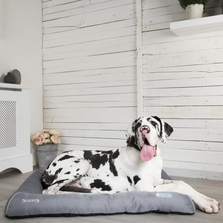 Many pets can suffer from heat during the hot summer months, and the Scruffs® Cool Dog Bed is designed to address this issue.