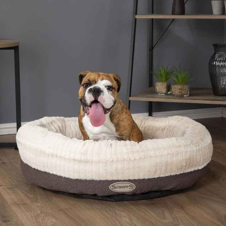 Scruffs Ellen Donut Dog Bed combines stylish design, plush comfort, and eco-friendly features with recycled polyester filling. The machine washable design adds practicality for pet owners.Grey