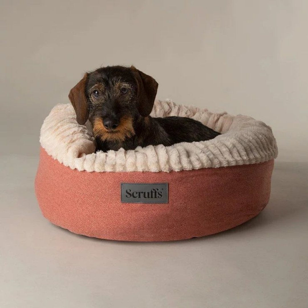 Scruffs Ellen Donut Dog Bed combines stylish design, plush comfort, and eco-friendly features with recycled polyester filling. The machine washable design adds practicality for pet owners.Grey