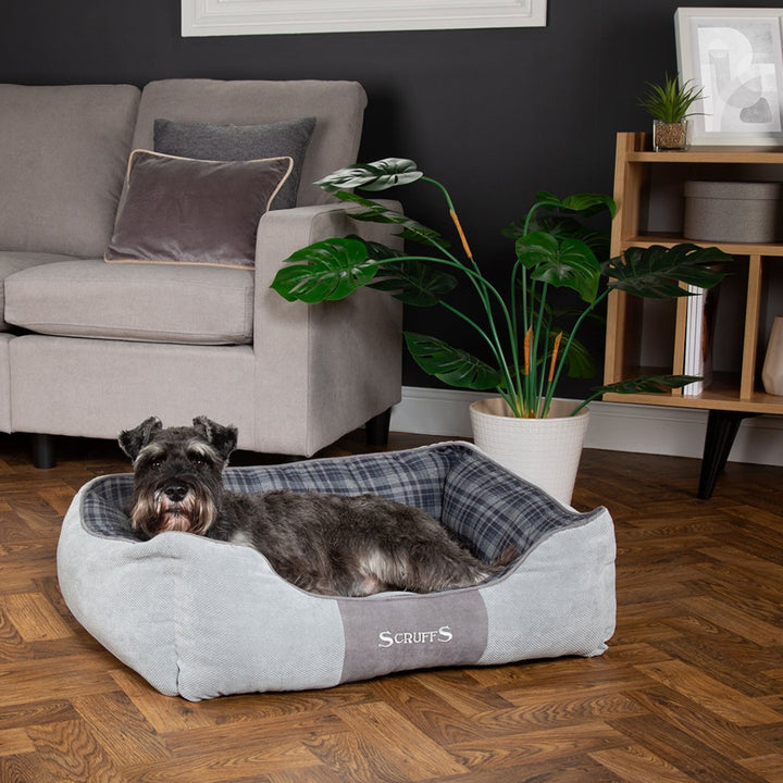 Elevate your pet's comfort with the Scruffs Highland Box Dog Bed – where luxury meets functionality. Choose this bed for a harmonious blend of design and durability AD.