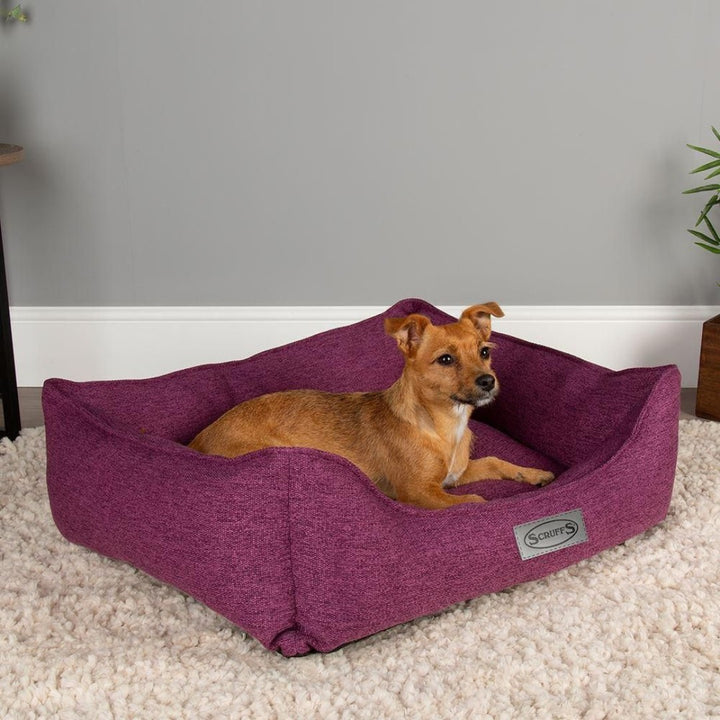 Transform your pet's lounging experience with the Scruffs® Manhattan Box Dog Bed, combining luxury, style, and comfort in one exquisite package. Purple Full