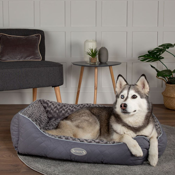 The Scruffs® Wilton dog bed collection combines style and comfort to create the perfect haven for your furry friend. They are crafted with a quilted outer fabric in a charming diamond pattern.