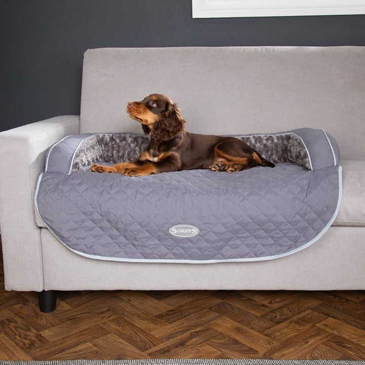 The Scruffs® Wilton Sofa Dog Bed is not just a bed; it's a luxurious retreat for your beloved pet and a guardian for your sofa. They are designed for ultimate comfort and practicality.