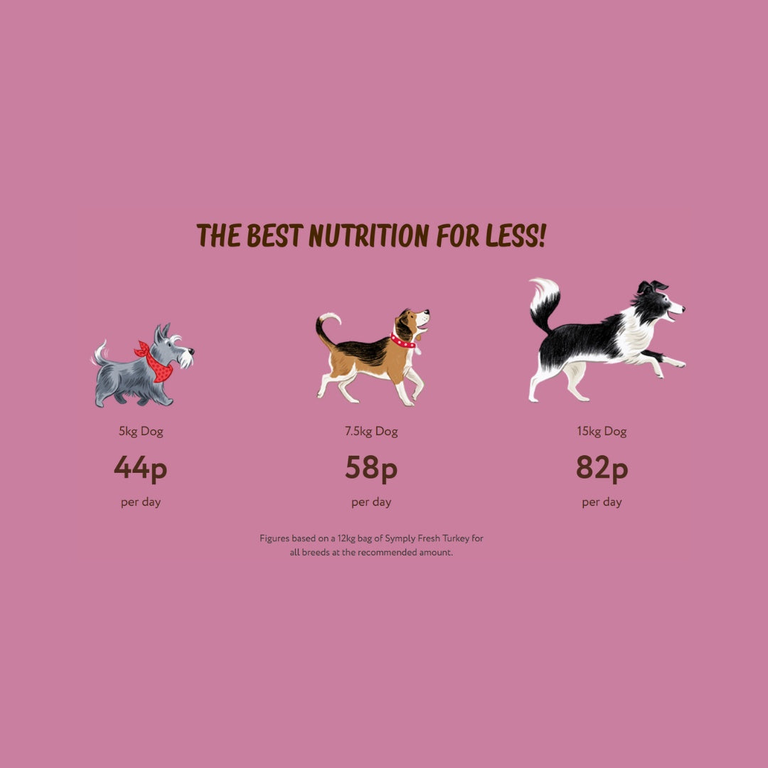 Symply Adult Fresh Turkey Dry Dog Food