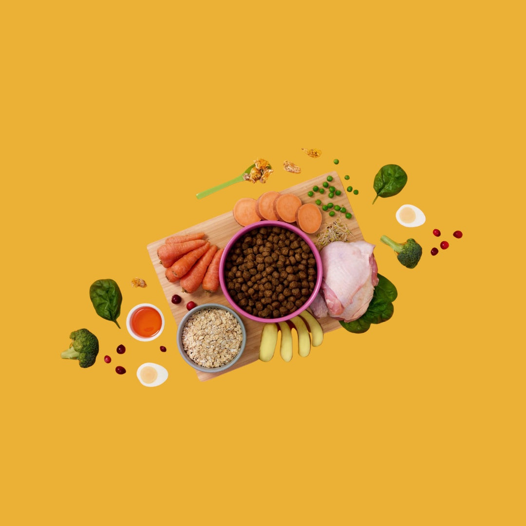 Symply Adult Fresh Turkey Dry Dog Food
