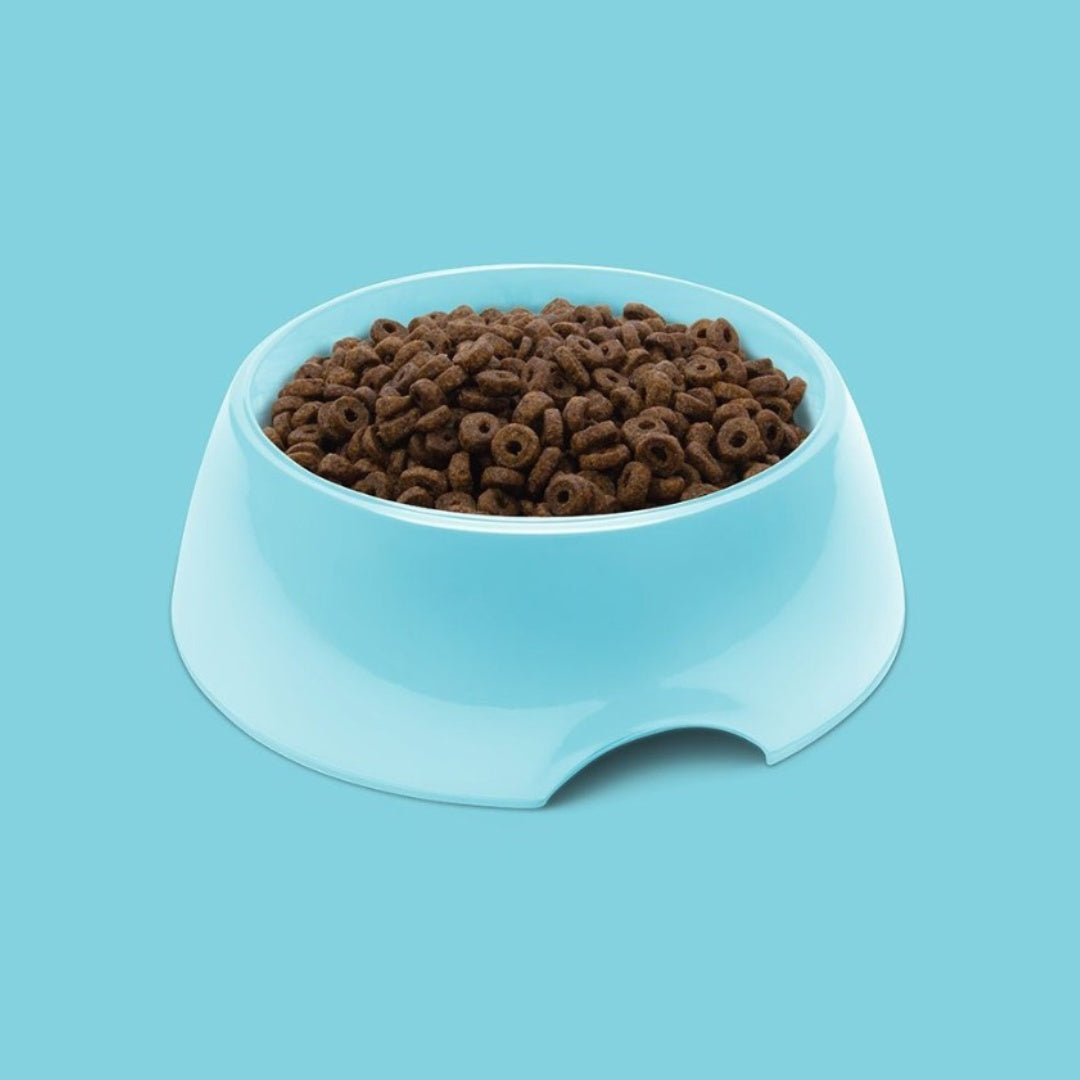 Symply Fuel Fresh Turkey Puppy Dry Food - Photo
