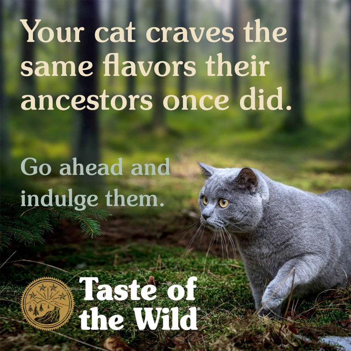Buy Taste Of The Wild Canyon River Cat Wet Food | Petz.ae Dubai - AD