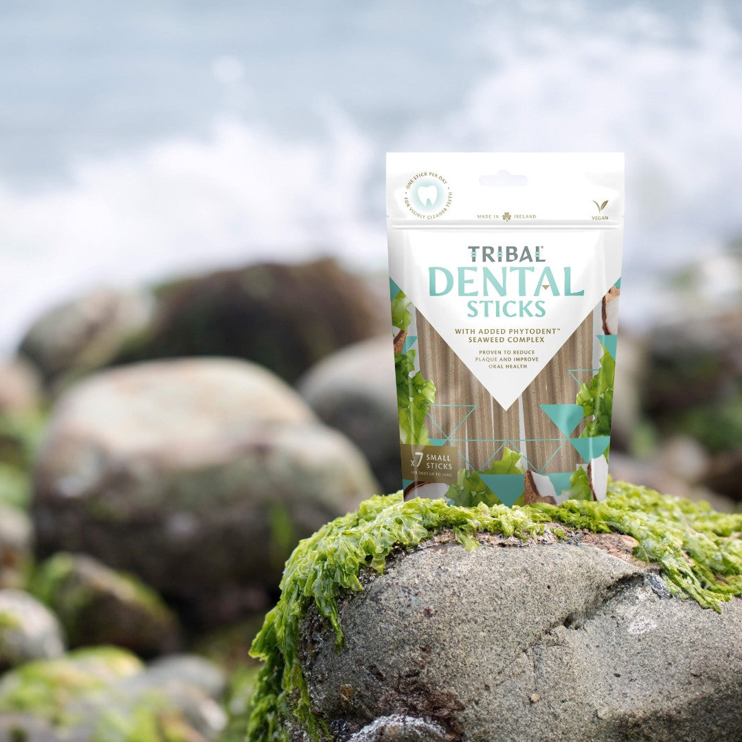 Tribal Dental Sticks Small Dog Treats for dogs up to 15kg - AD2