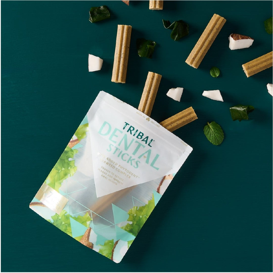 Tribal Dental Sticks Small Dog Treats for dogs up to 15kg - Treats Size