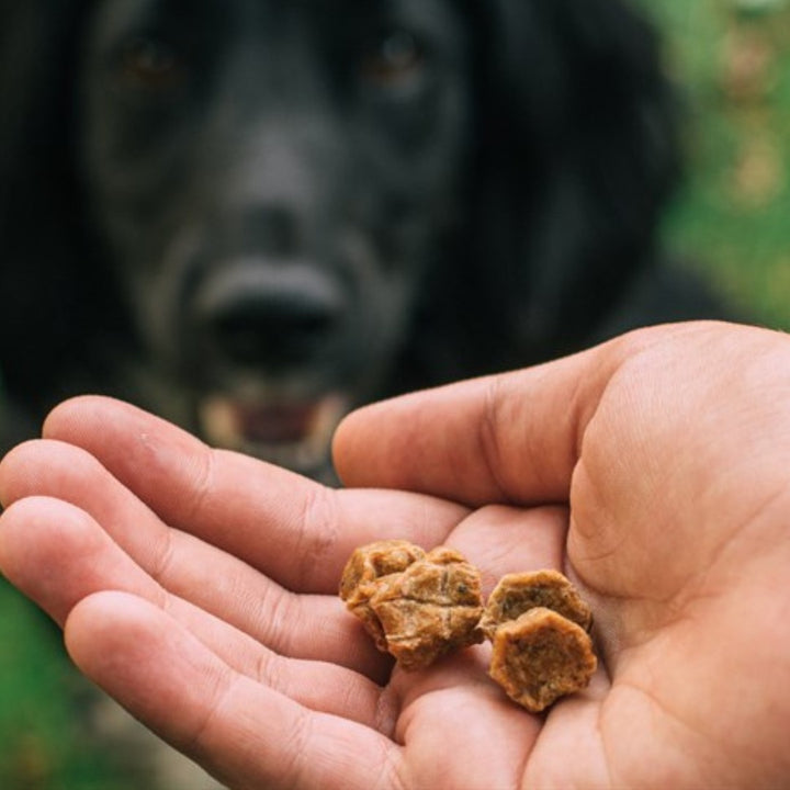 Tribal Trainers Chicken Quinoa & Blueberry Dog Treats in an 80g bag - Kibble Size..