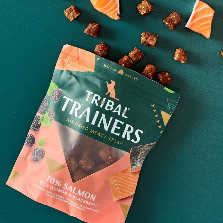 Tribal Trainers Salmon & Blackberry Dog Treats in an 80g bag - Ingredients.