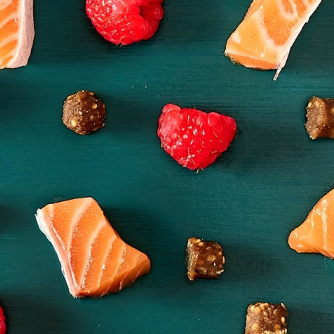 Tribal Trainers Trout Quinoa &amp; Raspberry Dog Treats in an 80g bag - Ingredients 