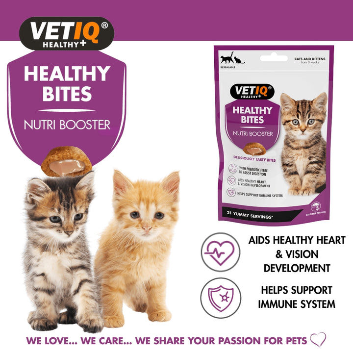 VetIQ Healthy Bites Nutri Booster Kittens and Cats Treats - Delicious and Nutritious Cat Treats - Benefits 