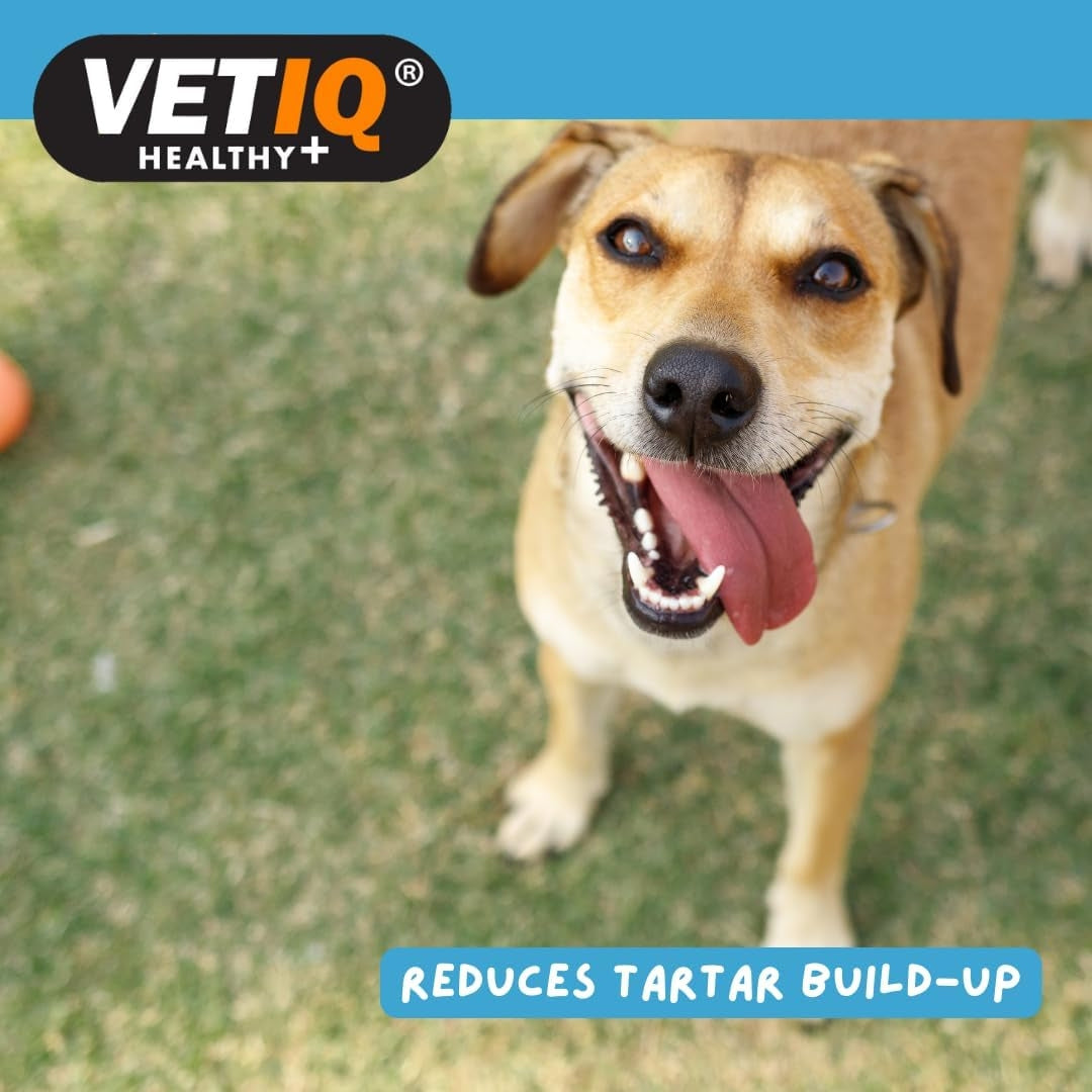 VetIQ 2in1 Denti-Care Edible Toothpaste for Dogs &amp; Puppies - Fresh Breath and Healthy Teeth for Your Furry Friend - Benefits 