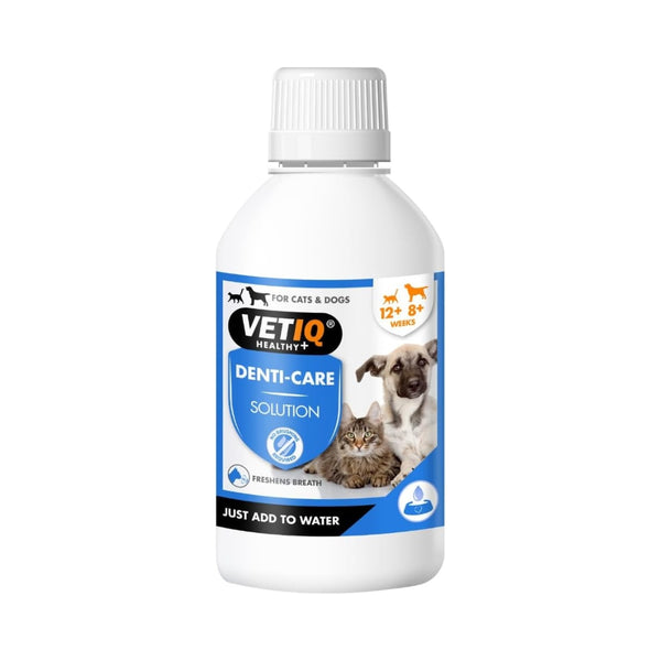 VetIQ 2in1 Denti-Care Oral Hygiene for Cats and Dogs - Front Bottle 