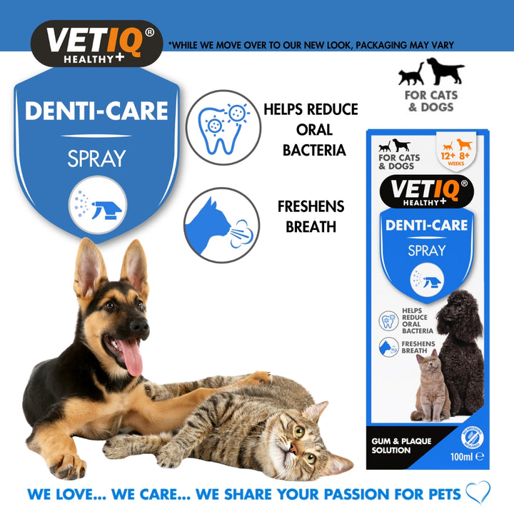 VetIQ Denti-Care Spray Oral Care Spray for Cats & Dogs - Benefits
