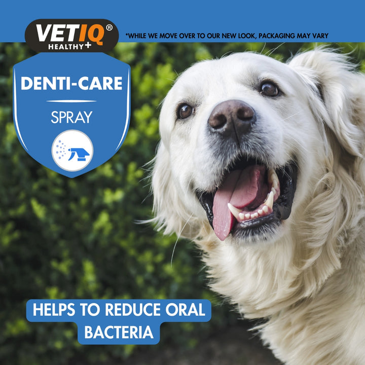 VetIQ Denti-Care Spray Oral Care Spray for Cats & Dogs - Benefits