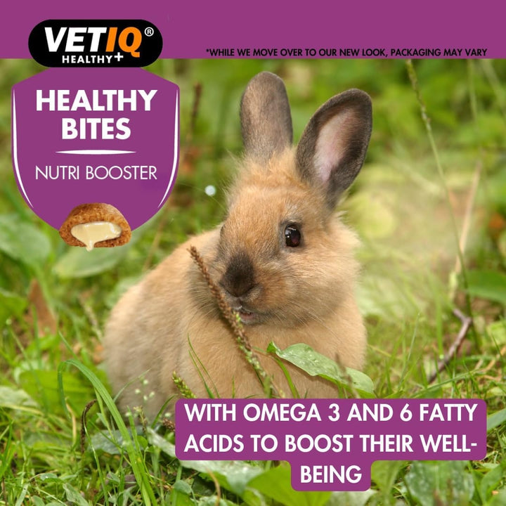 VetIQ Healthy Bites Nutri Booster Treats for Small Animals - Benefits 1