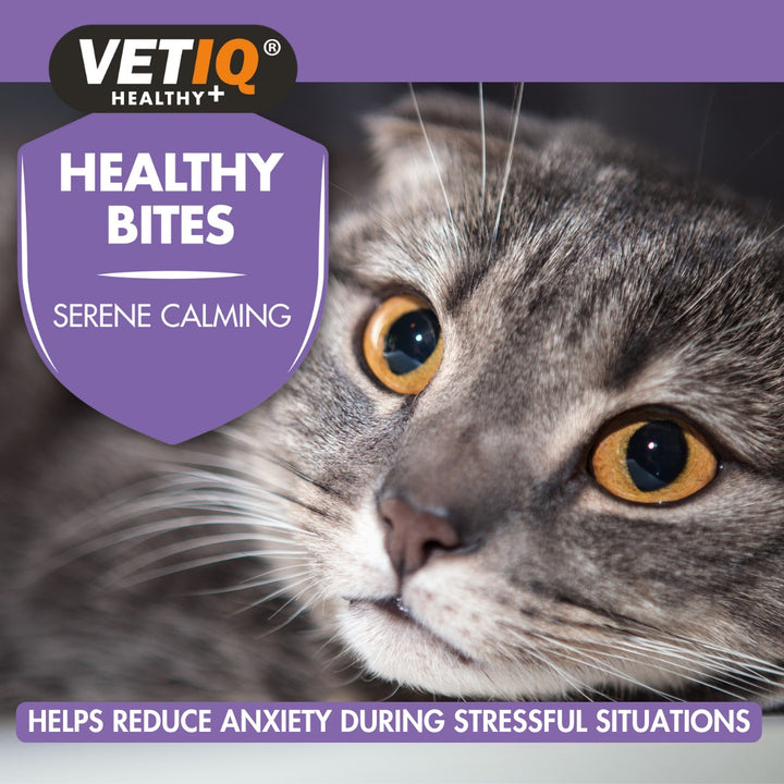 Buy VetIQ Healthy Bites Serene Calming Cat Treats | Petz.ae