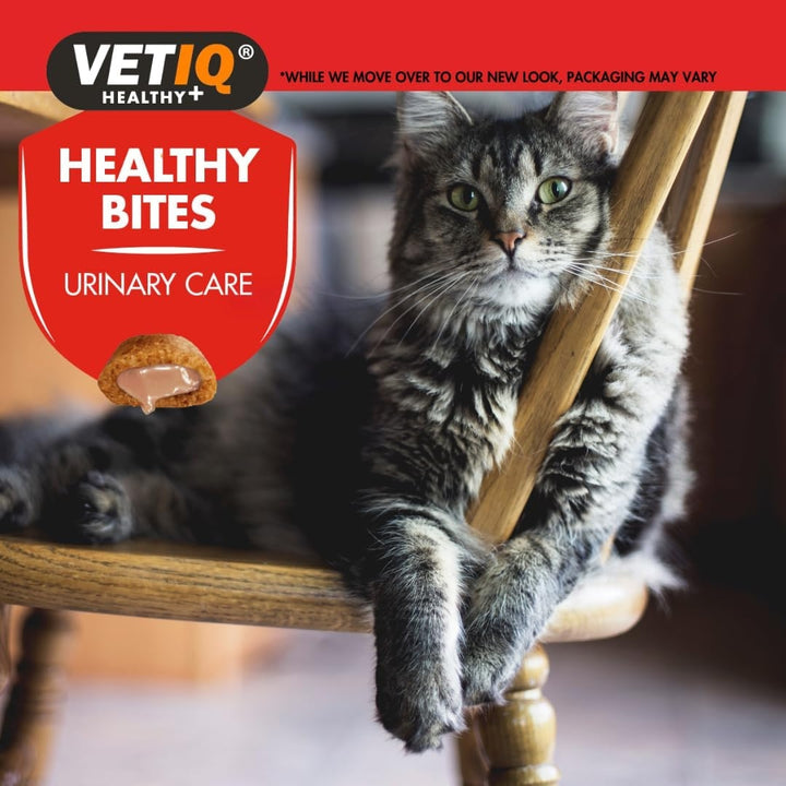 VetIQ Healthy Bites Urinary Care Treats for Cats and Kittens - Benefits 1