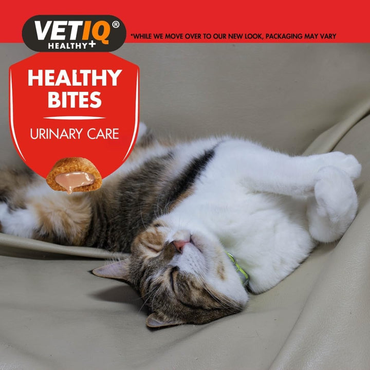 VetIQ Healthy Bites Urinary Care Treats for Cats and Kittens - Benefits 2