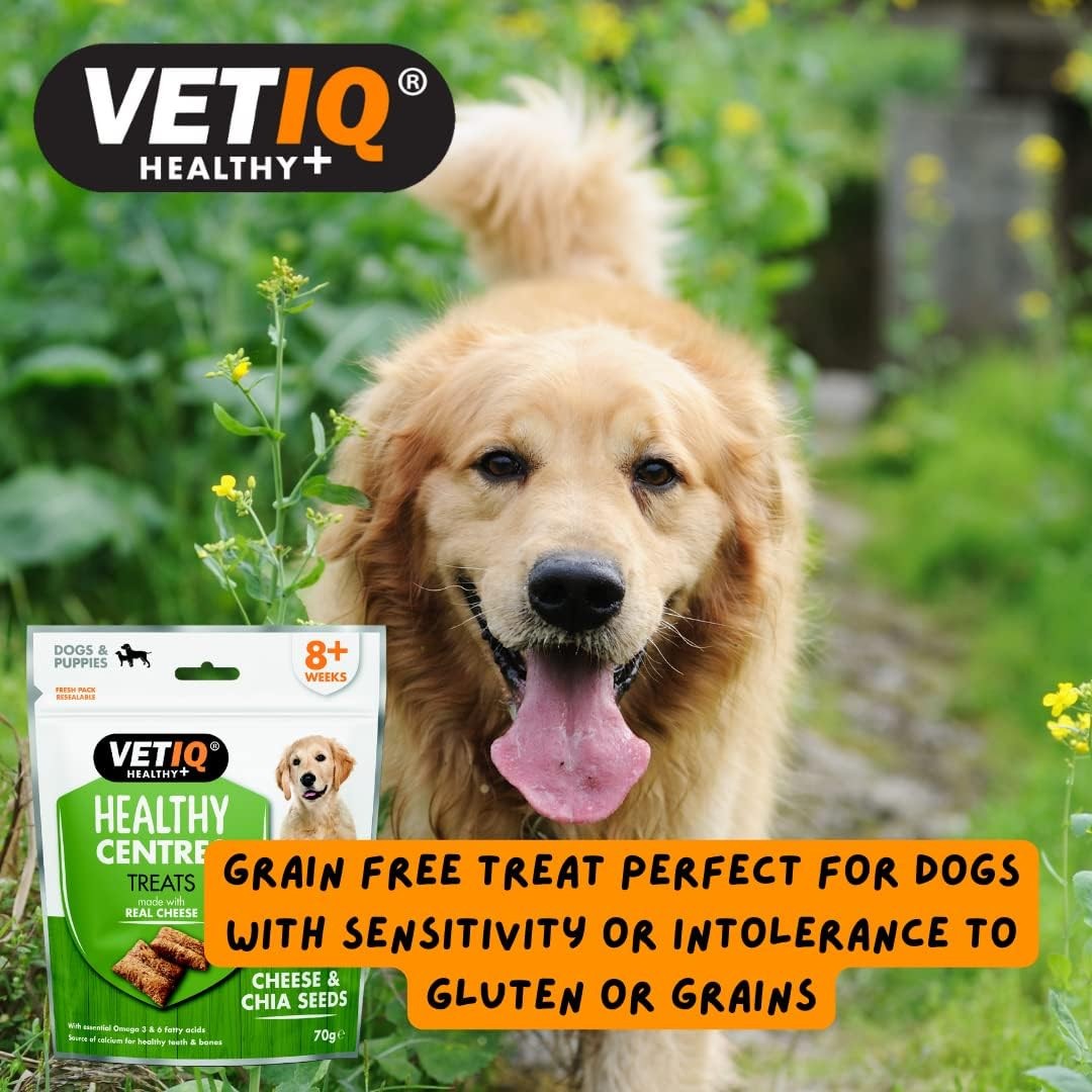Buy VetIQ Healthy Centres Cheese Chia Seeds Dog Treats | Petz.ae