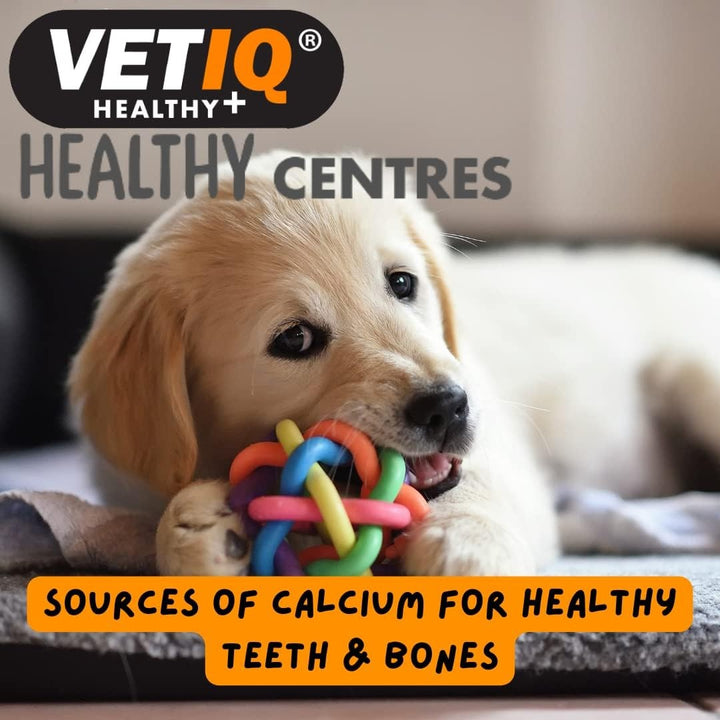 Buy VetIQ Healthy Centres Cheese Chia Seeds Dog Treats | Petz.ae