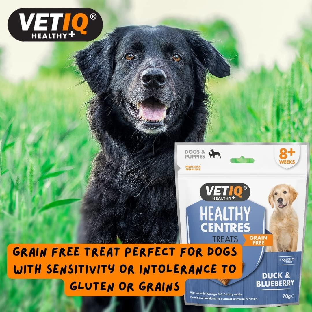 Buy VetIQ Healthy Centres Cheese Chia Seeds Dog Treats | Petz.ae