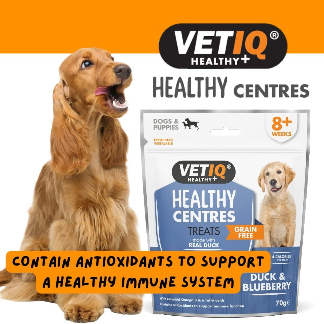Buy VetIQ Healthy Centres Cheese Chia Seeds Dog Treats | Petz.ae