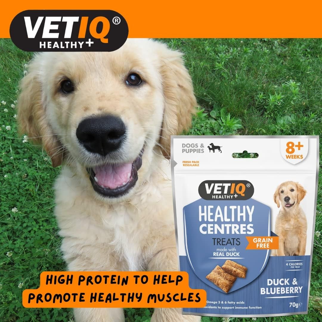 Buy VetIQ Healthy Centres Cheese Chia Seeds Dog Treats | Petz.ae