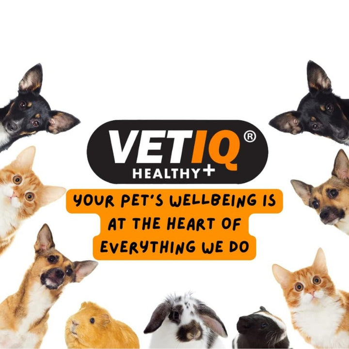 Buy VetIQ Healthy Centres Cheese Chia Seeds Dog Treats | Petz.ae