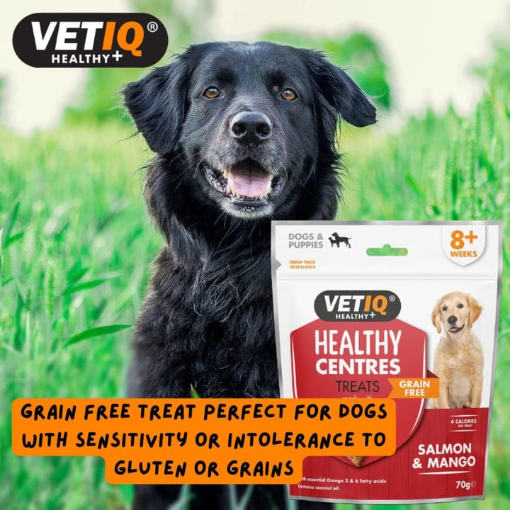 VetIQ Healthy Centres Salmon Mango Dog Treats - Treats Benefits 3