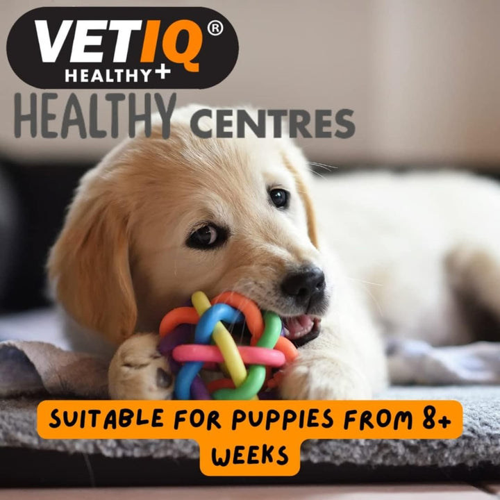 VetIQ Healthy Centres Salmon Mango Dog Treats - Treats Benefits 