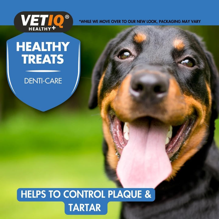  VetIQ Healthy Dental Dog and Puppy Treats - Delicious Dental Care for Dogs - Benefits 1