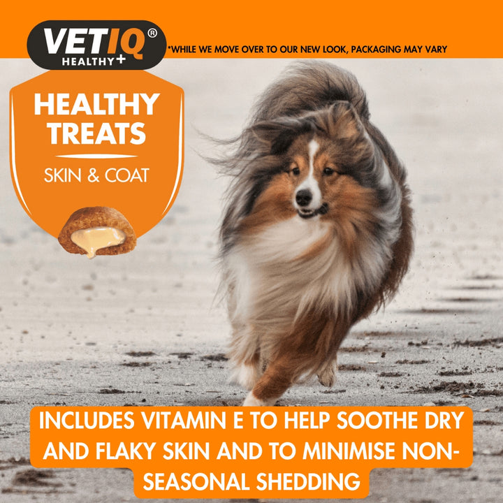 VetIQ Healthy Treats Skin & Coat for Dogs and Puppies - Benefits 1