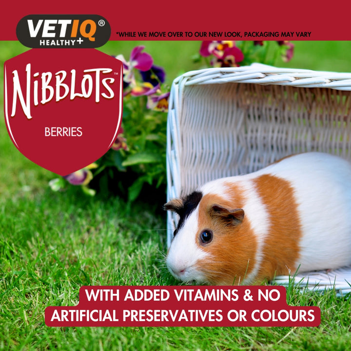 VetIQ Nibblots Berries for Small Animals Treats - Benefits 