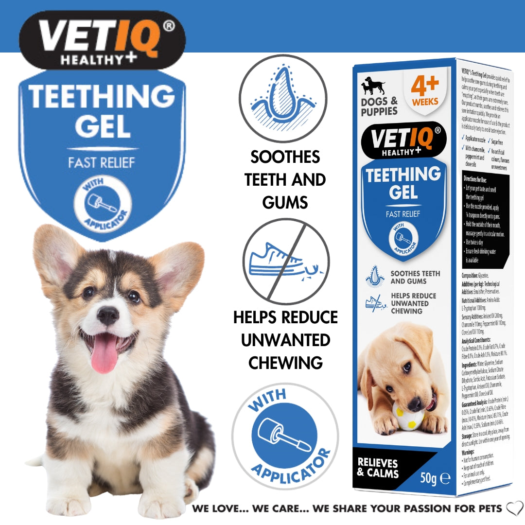 VetIQ Teething Gel for Puppies - Benefits