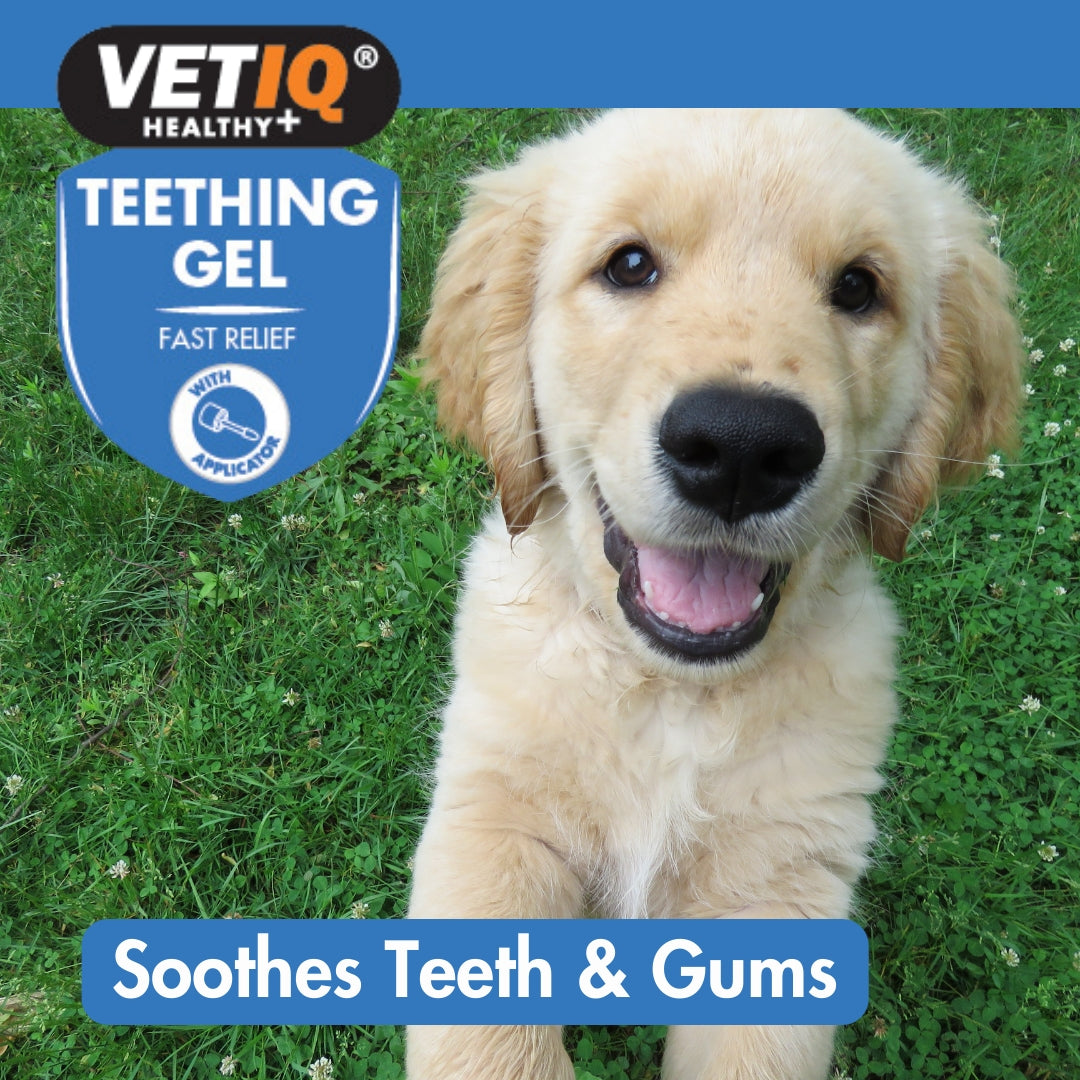 VetIQ Teething Gel for Puppies - Benefits