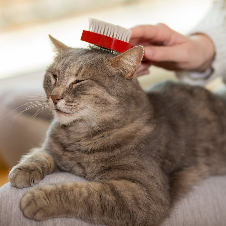 Image of Vet’s Best Waterless Cat Bath - Natural No-Rinse Foam Shampoo for Cats.