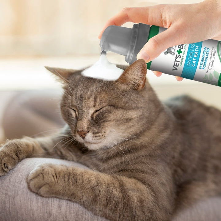 Image of Vet’s Best Waterless Cat Bath - Natural No-Rinse Foam Shampoo for Cats.