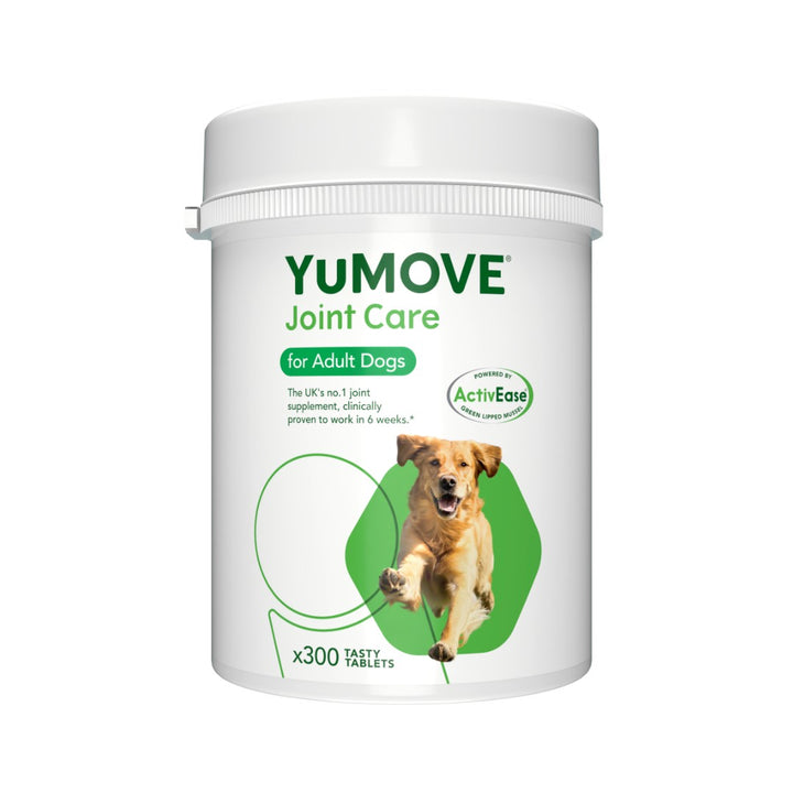 Experience the unmatched support for your dog's mobility with YUMOVE – the only clinically proven supplement that transforms joint health in six weeks 300.