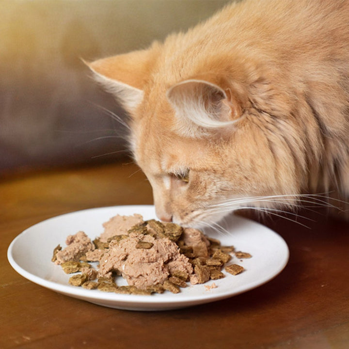Ziwi Peak Mackerel Cat Wet Food A complete and balanced PeakPrey® recipe for any life stage, from kittens to seniors AD.