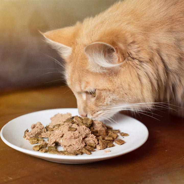 Ziwi Peak Mackerel & Lamb Cat Wet Food A complete and balanced PeakPrey® recipe for any life stage, from kittens to seniors AD1.